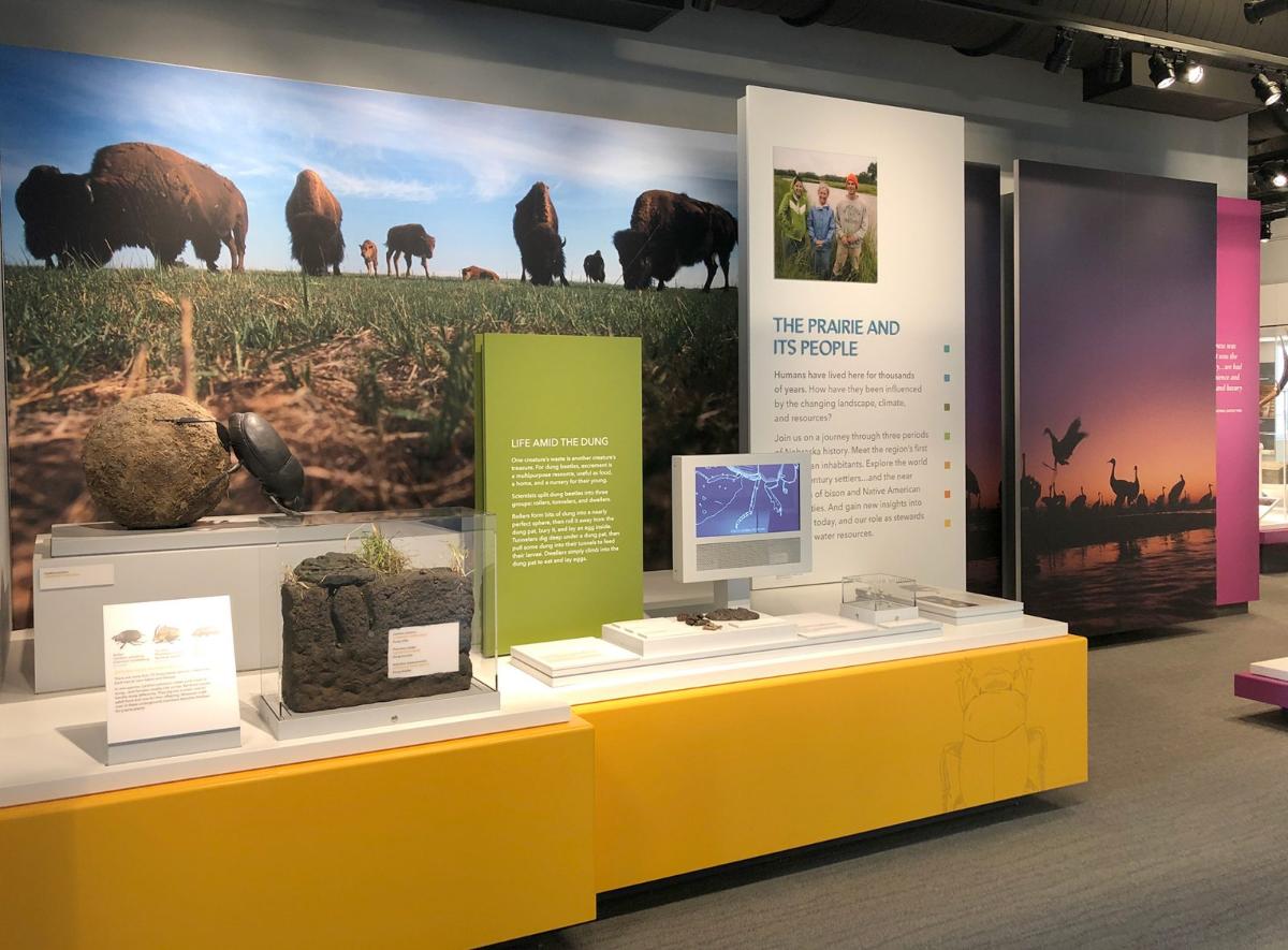 企業(yè)展廳設(shè)計(jì)效果2 企業(yè)展廳設(shè)計(jì)效果2