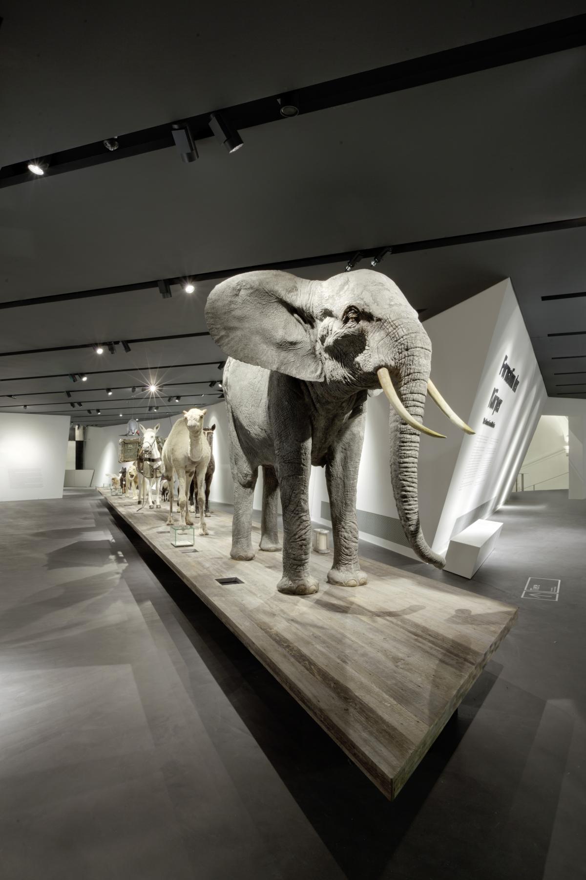 德國(guó)軍事歷史博物館5 德國(guó)軍事歷史博物館5