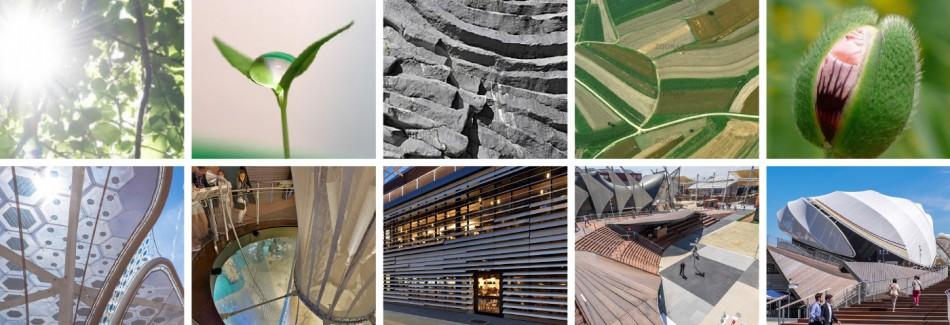 米蘭世博會德國館設(shè)計(jì)1 米蘭世博會德國館設(shè)計(jì)1