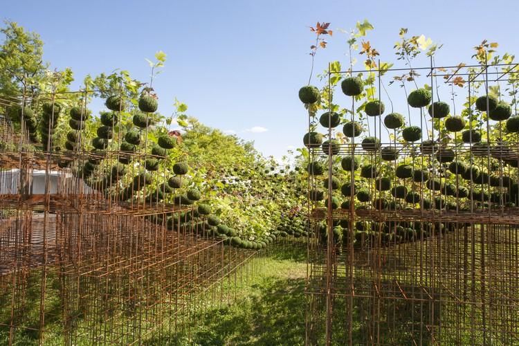 圖片5.jpg 圖片5.jpg